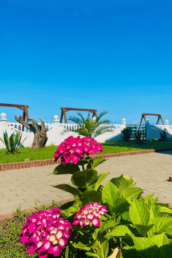 Sea Line Hotel Shekhvetili Exterior foto